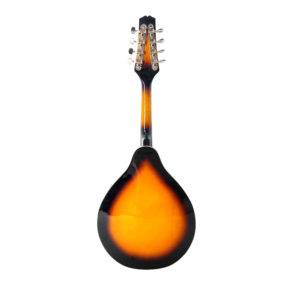 8 String A Style Acoustic Mandolin Kit with Carrying Case G46716
