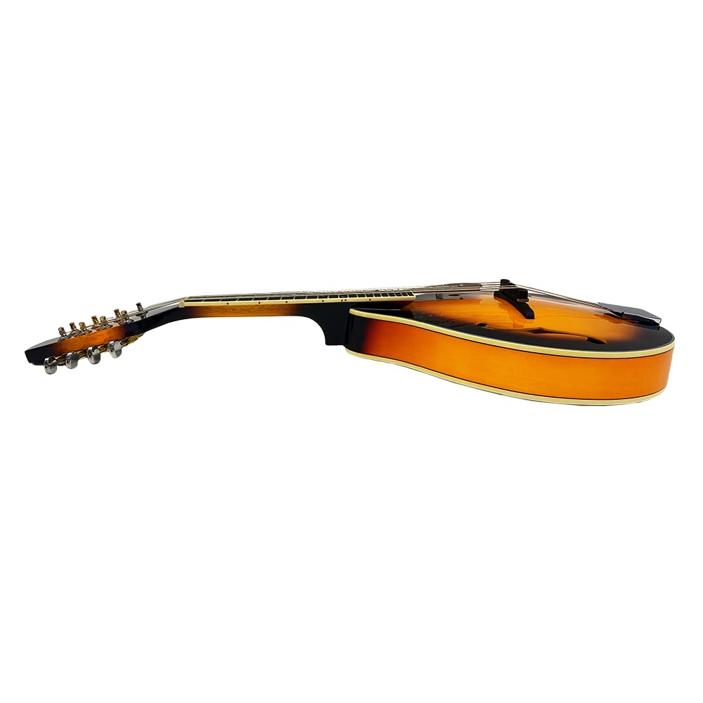 8 String A Style Acoustic Mandolin Kit with Carrying Case G46716