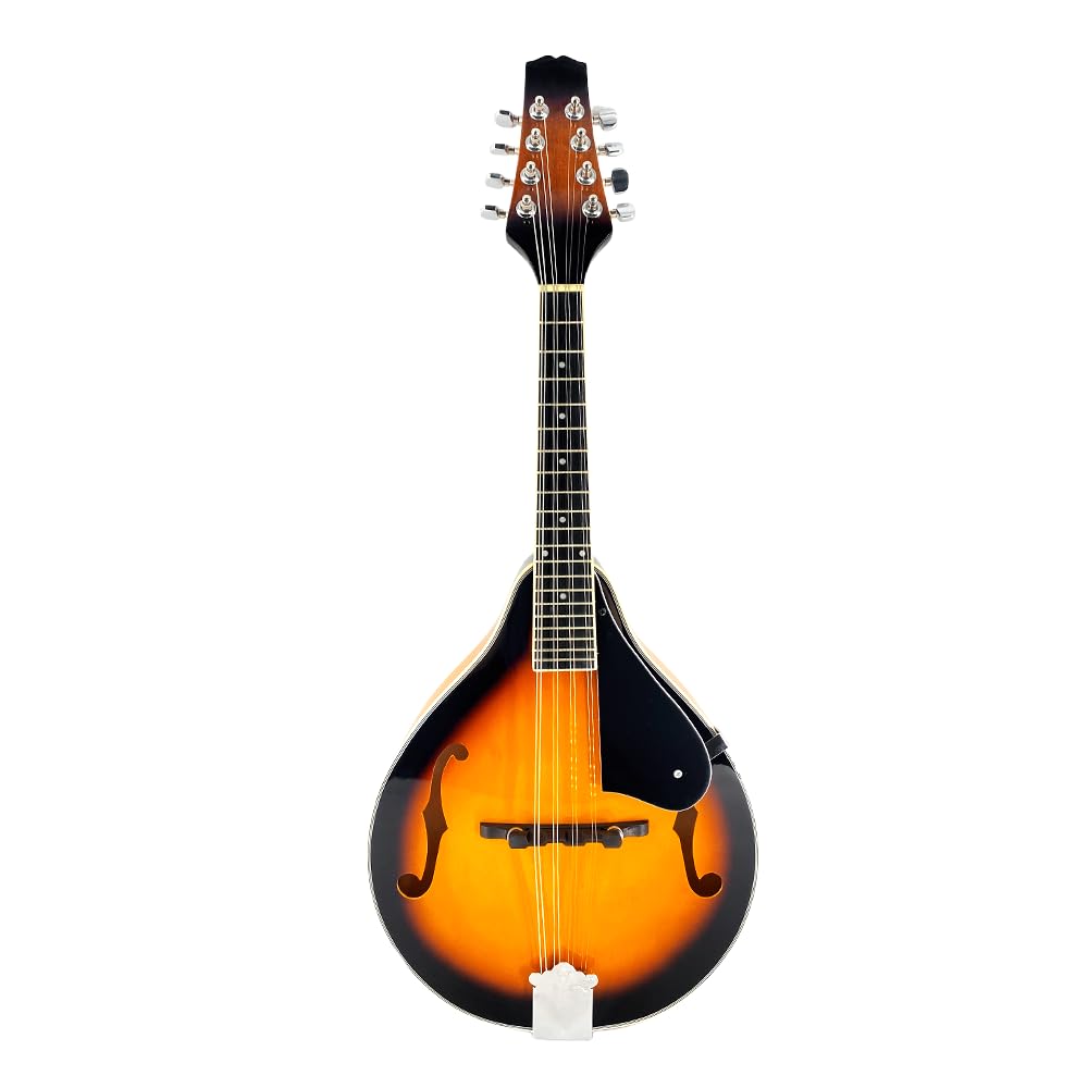 8 String A Style Acoustic Mandolin Kit with Carrying Case G46716