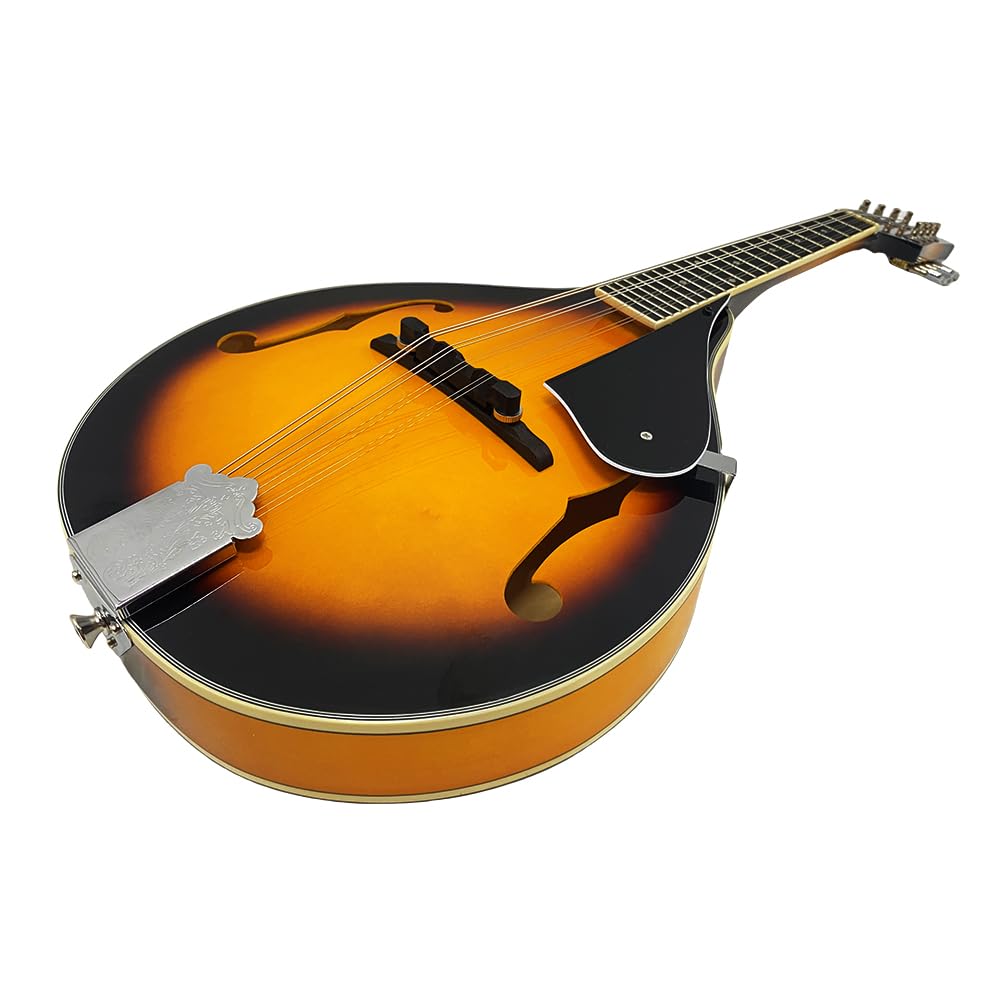 8 String A Style Acoustic Mandolin Kit with Carrying Case G46716