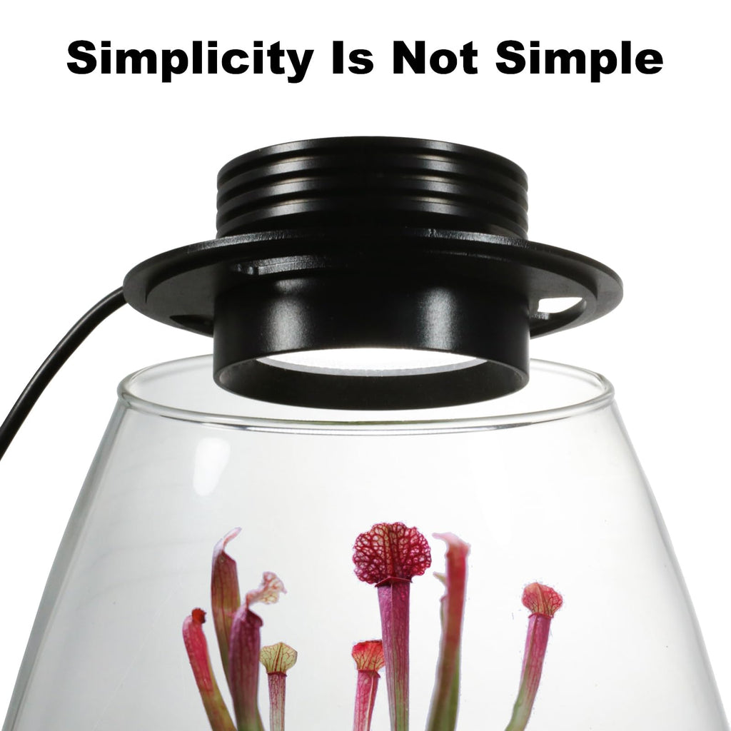 Glass Plant Terrarium with Grow Light D948985