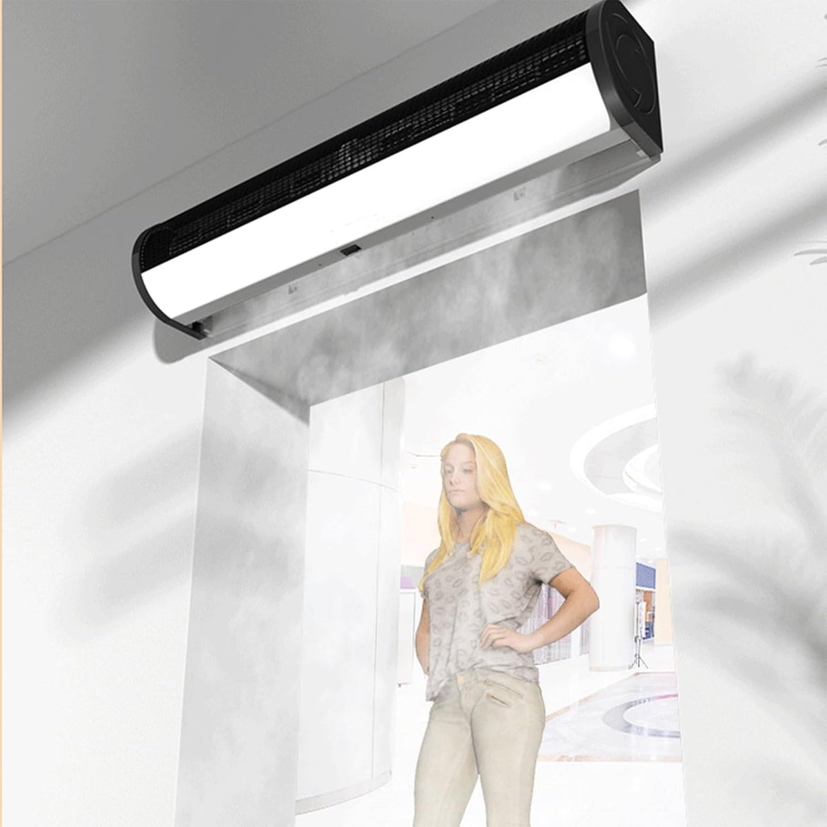Commercial Indoor 2 Speed Wall-mounted Air Curtain L5665