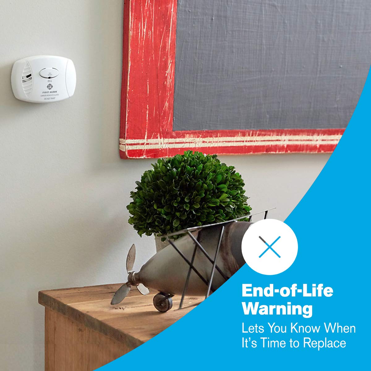 Battery Carbon Monoxide Alarm R511489