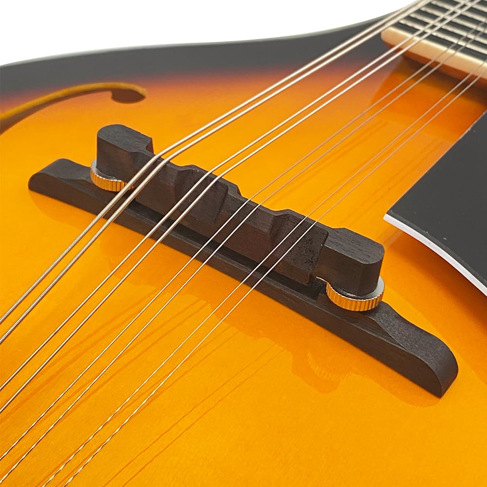 8 String A Style Acoustic Mandolin Kit with Carrying Case G46716