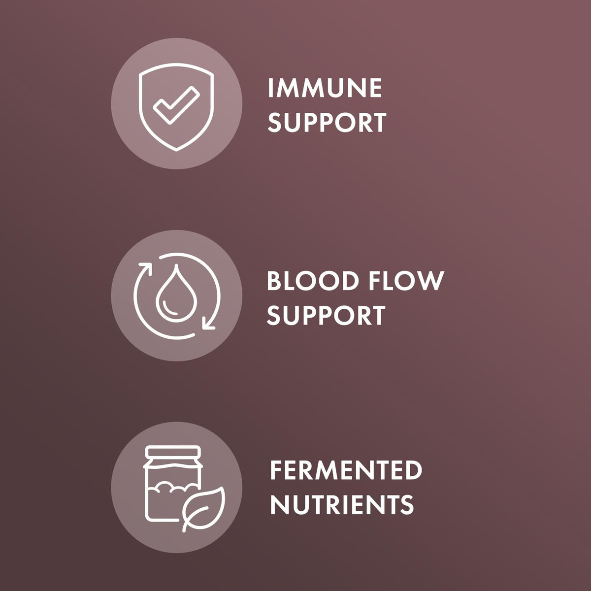 Fermented Black Garlic 60 Capsules W151