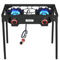2 Burner Portable Propane Gas Grill Q2042