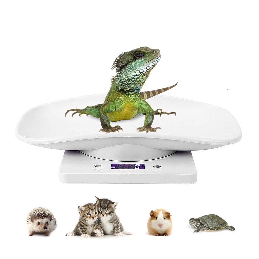 Digital Pet Scale LCD Electronic Weighing Scale R1591