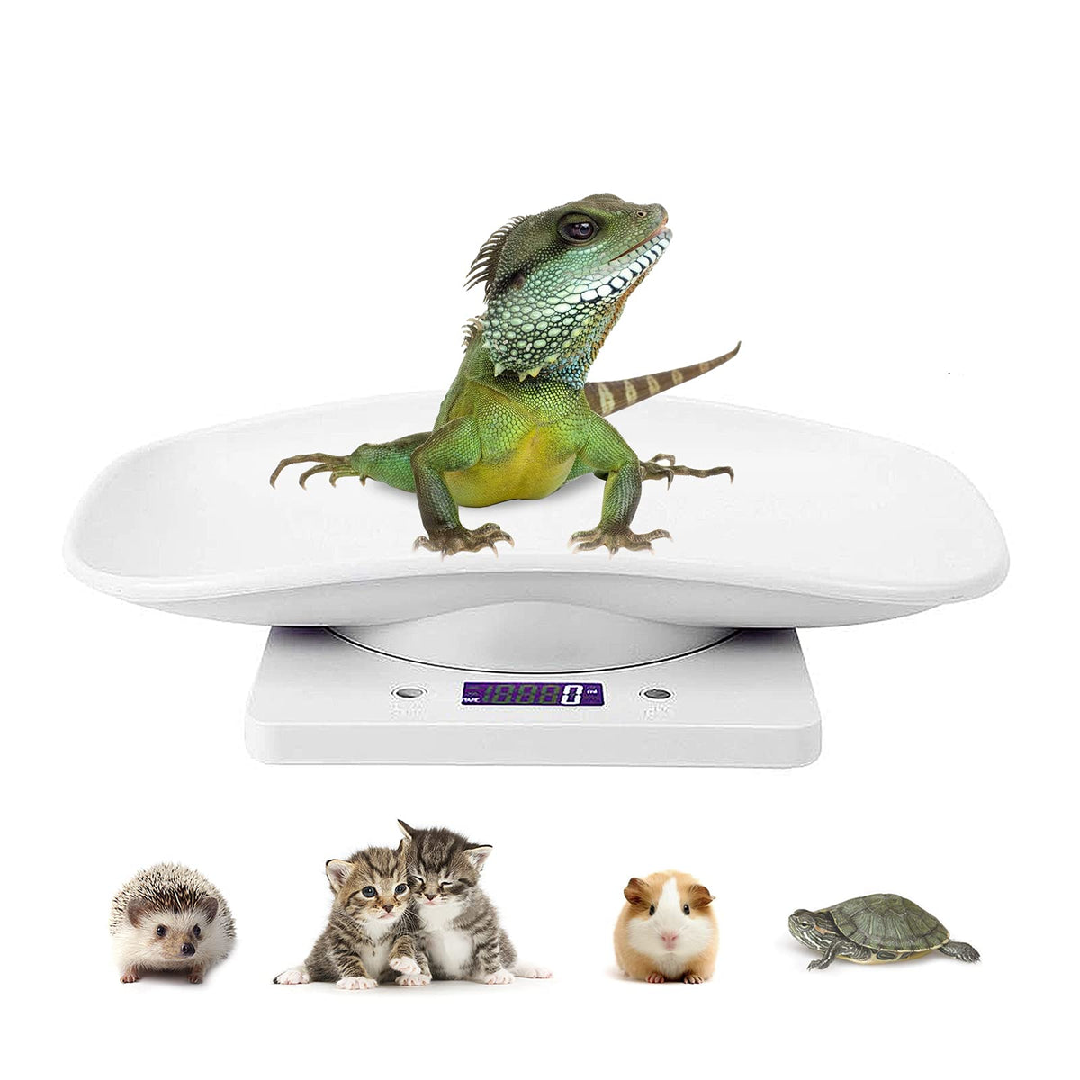 Digital Pet Scale LCD Electronic Weighing Scale R1591