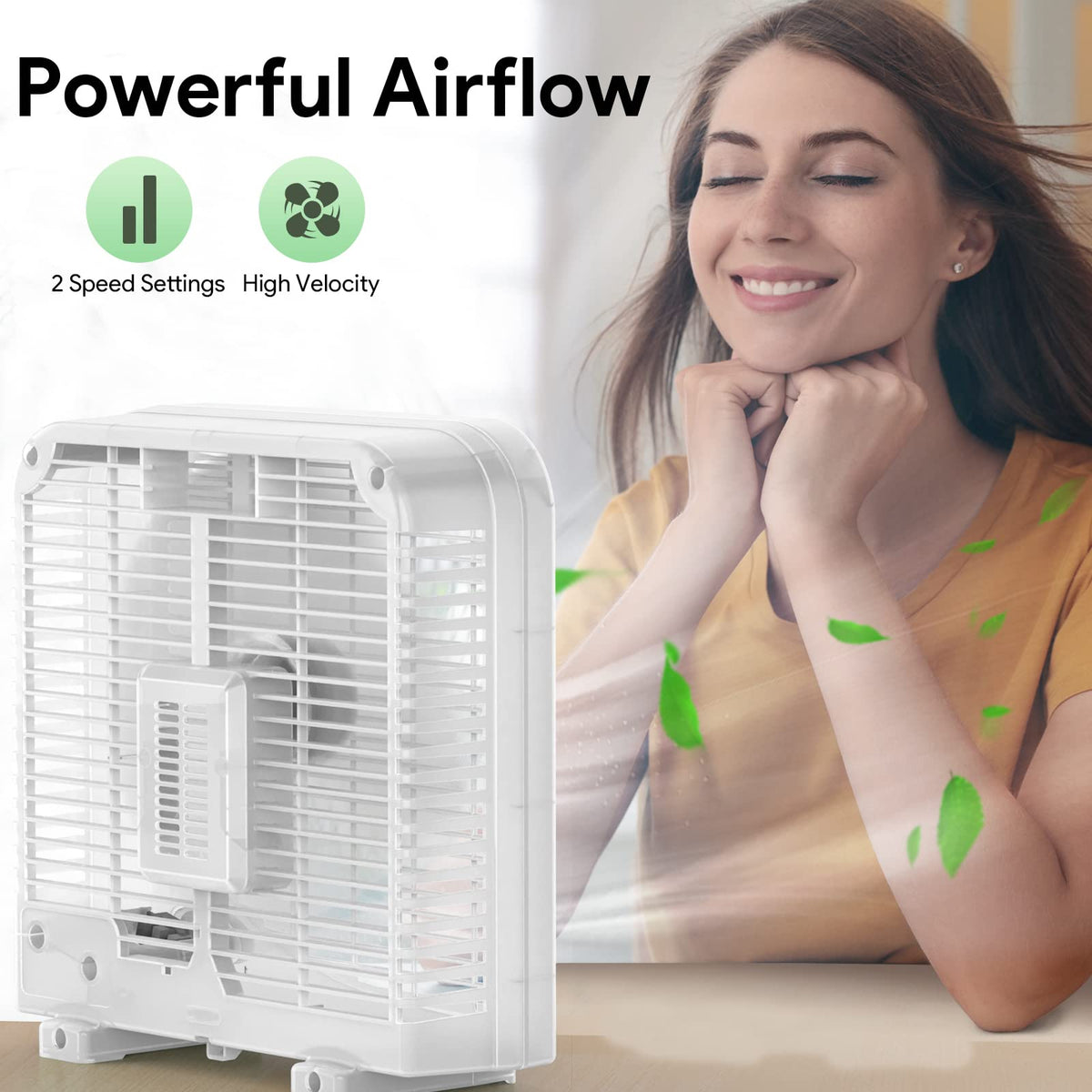 2 Packs 10" Tabletop Box Fan, 2 Speeds, White E3454