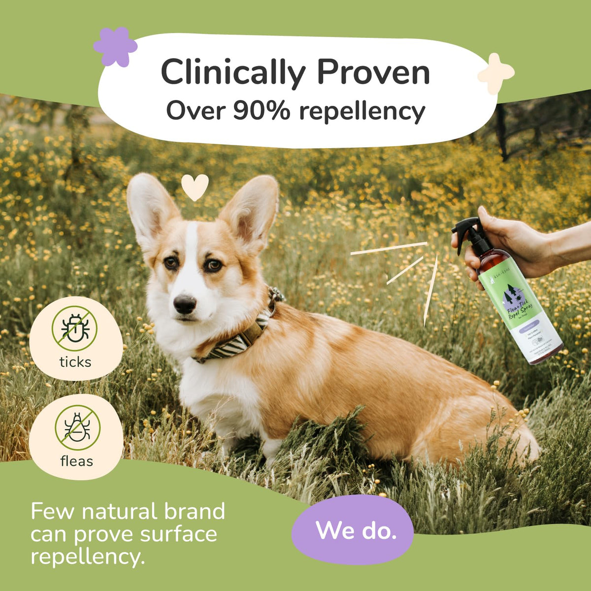 Lavender Mint Dog Coat Spray 12 fl oz X872