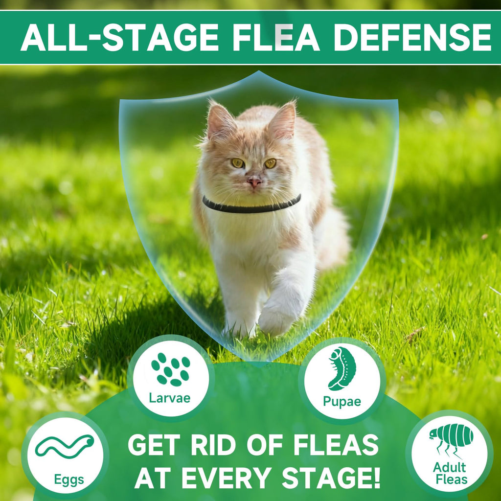 Black 4-Pack Cat Flea and Tick Collar N79123