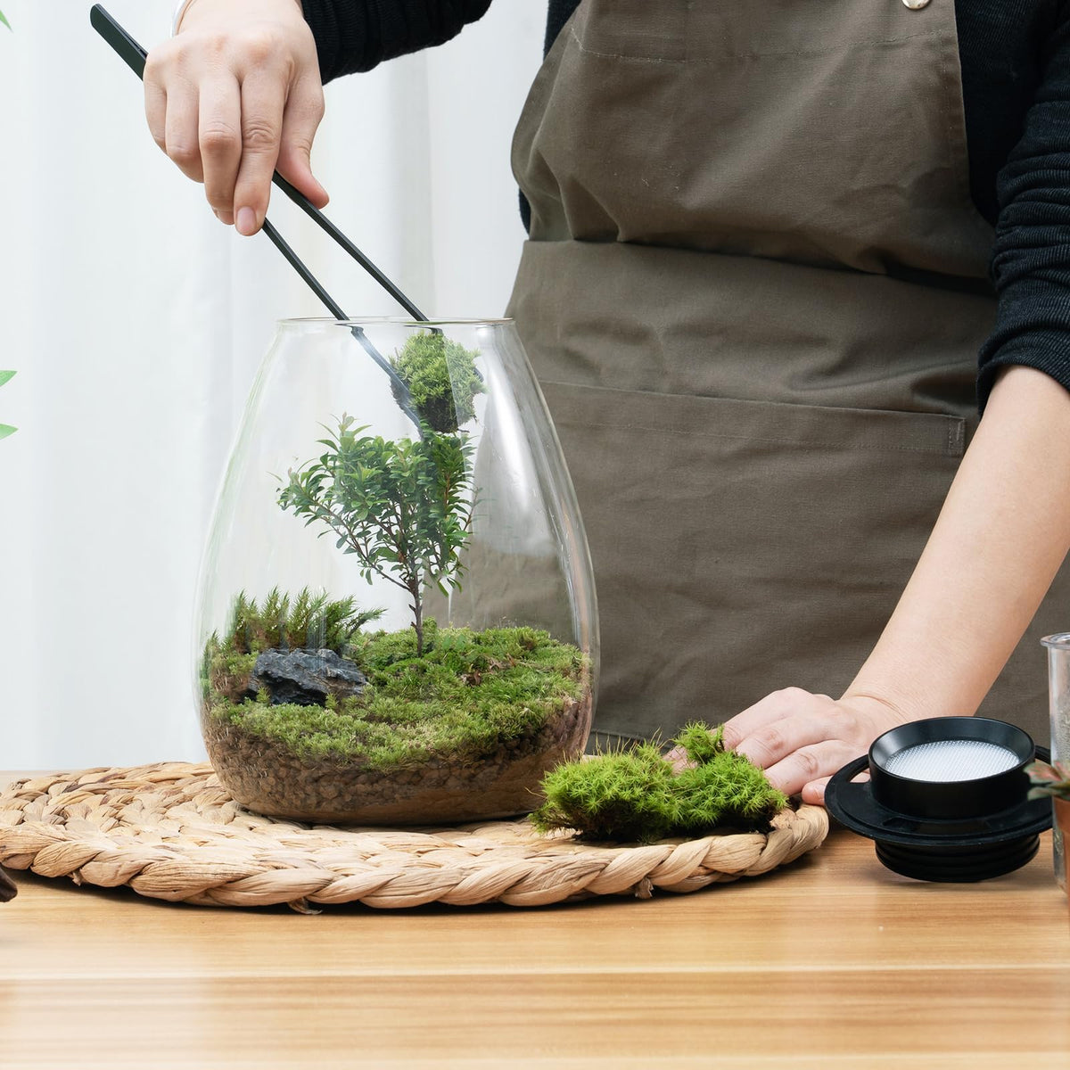 Glass Plant Terrarium with Grow Light D948985