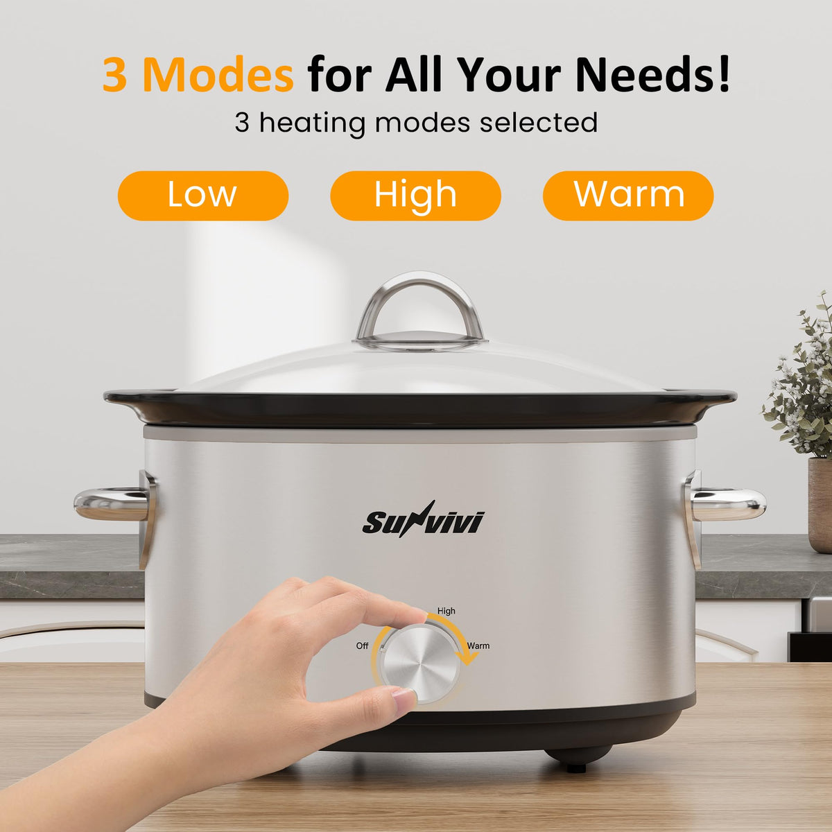 Small 4QT Slow Cooker with Ceramic Pot G406653