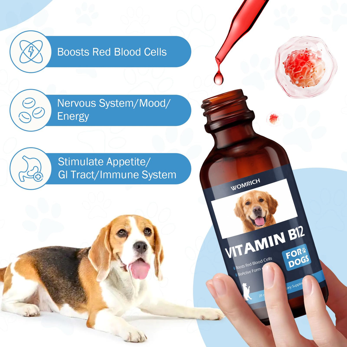 Vitamin B12 for Dogs C15997
