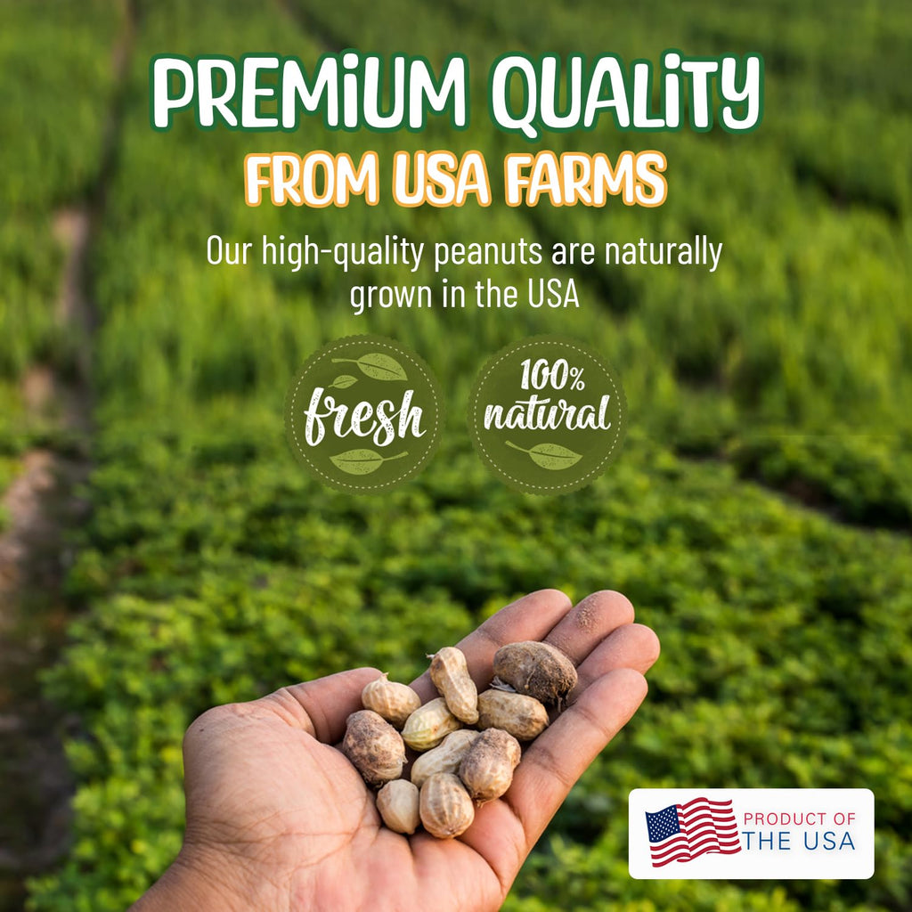 Raw Peanuts in Shell 10 Pounds V49135