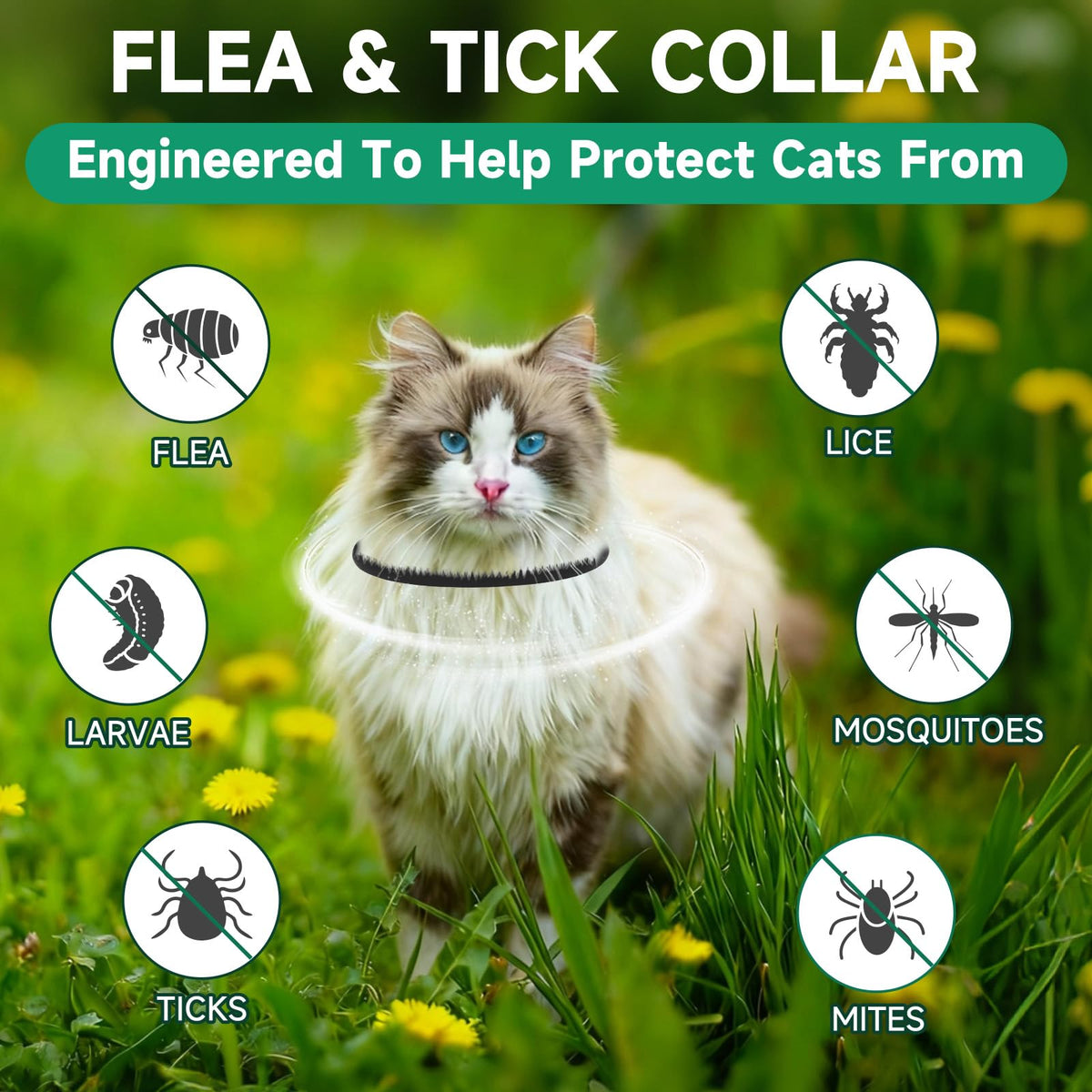 Black 4-Pack Cat Flea and Tick Collar N79123
