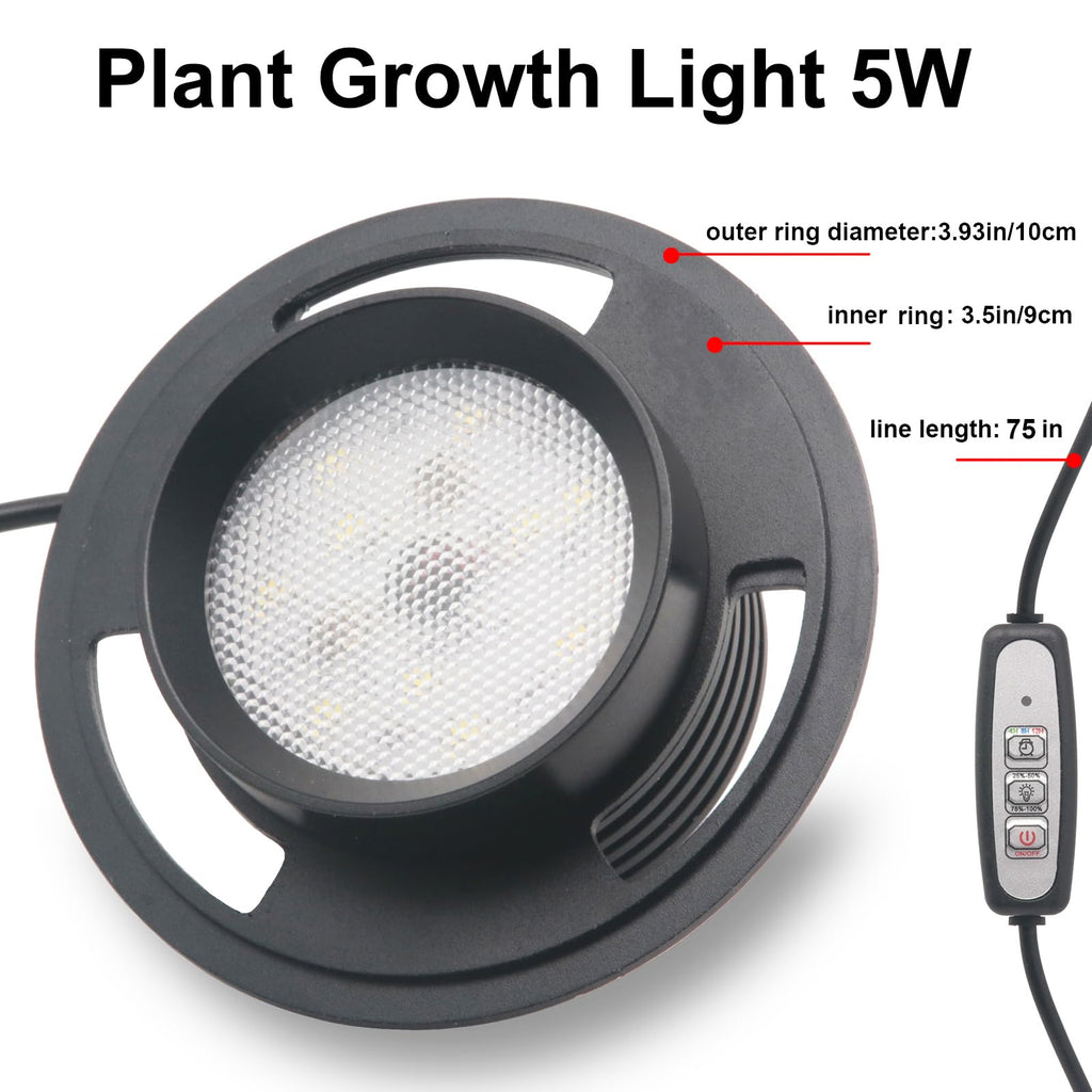 Glass Plant Terrarium with Grow Light D948985