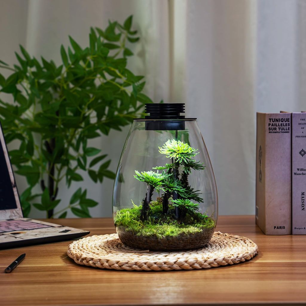 Glass Plant Terrarium with Grow Light D948985