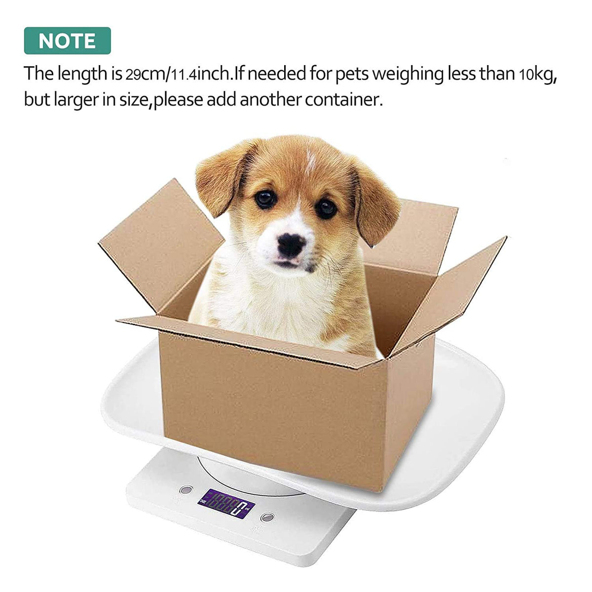 Digital Pet Scale LCD Electronic Weighing Scale R1591