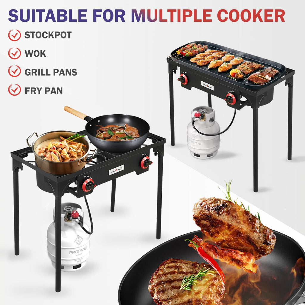 2 Burner Portable Propane Gas Grill Q2042