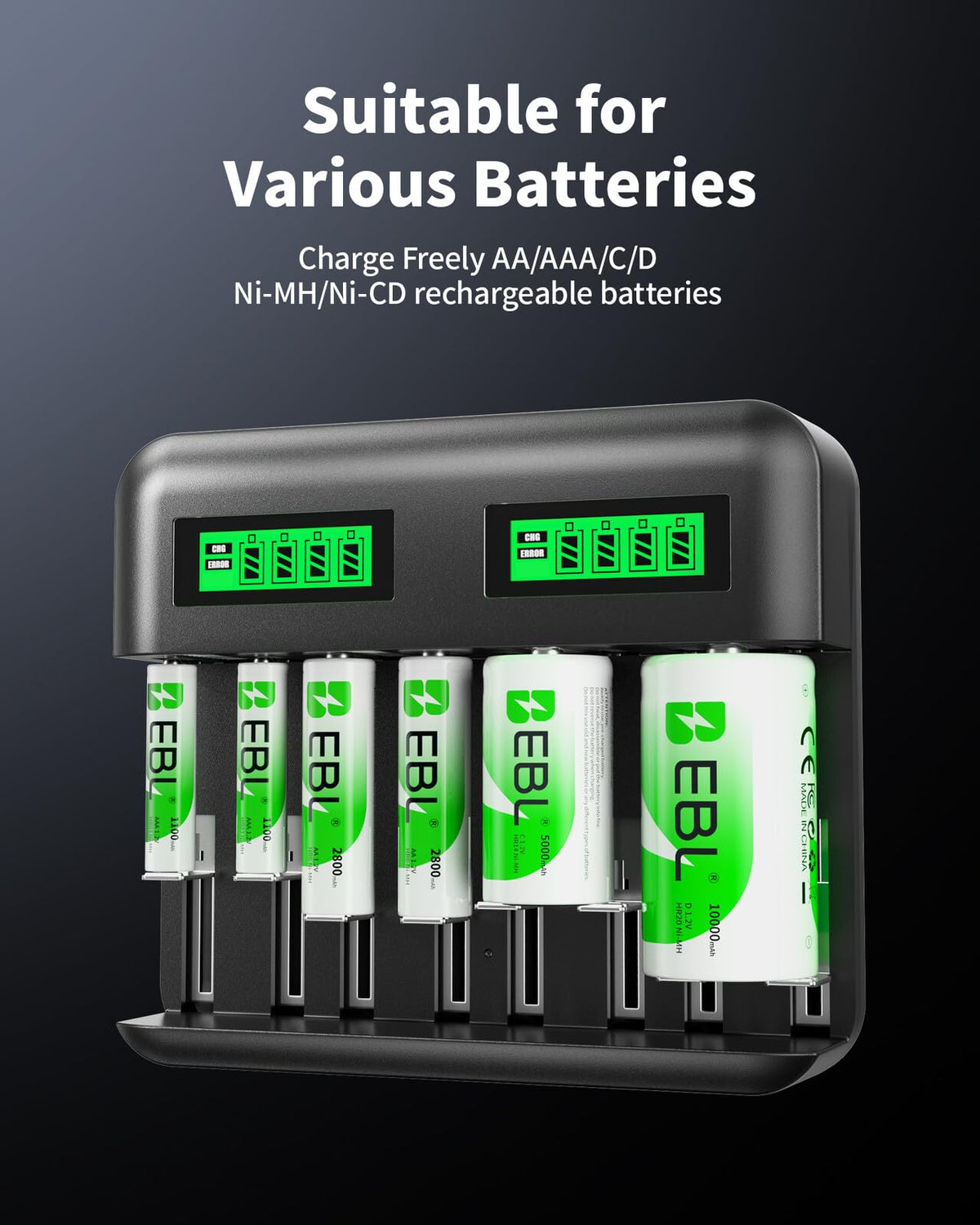 AA AAA C D Rechargeable Battery Charger with 8 PCS Batteries O78134