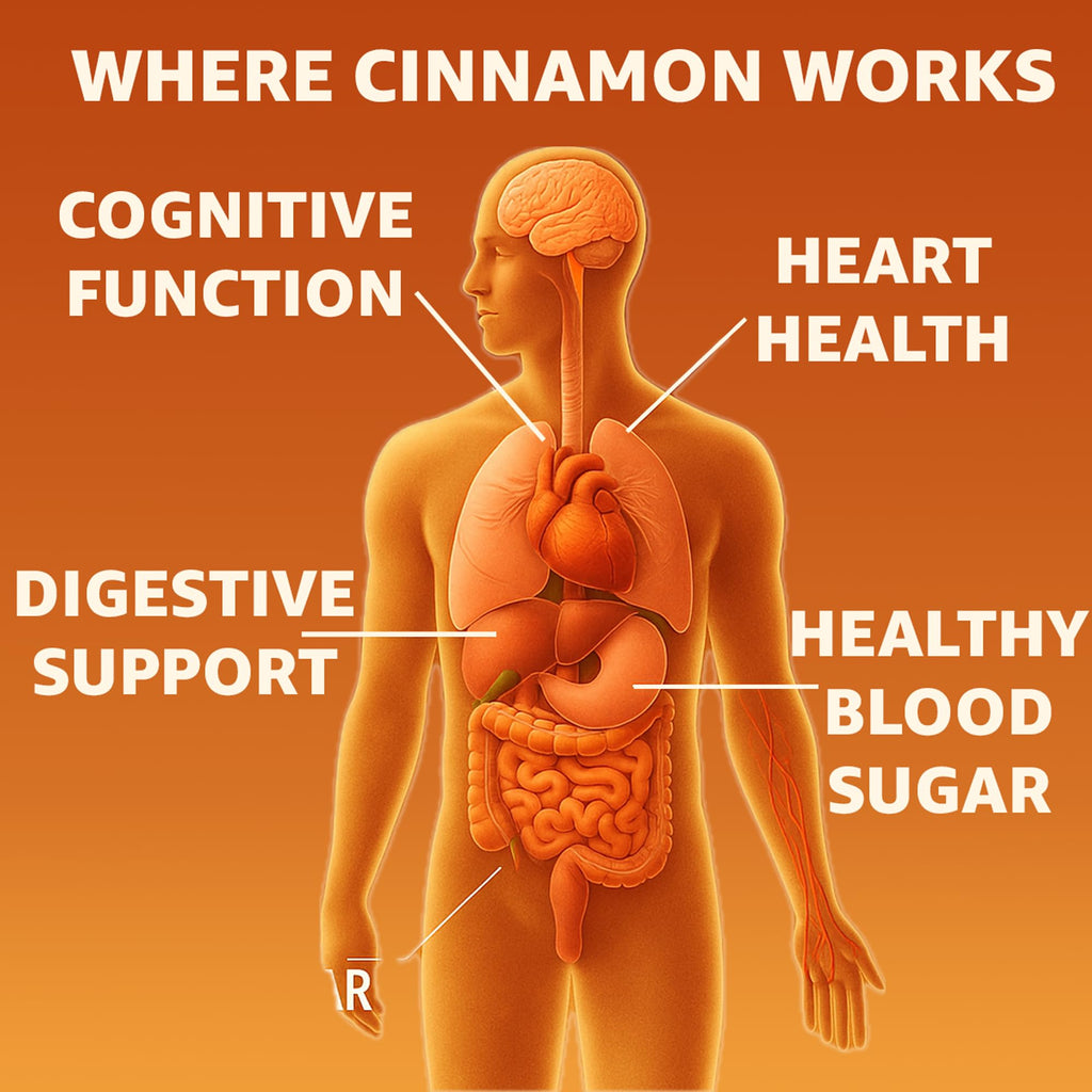 Cinnamon Supplement 1000mg 400 Vegetarian Capsules V3092