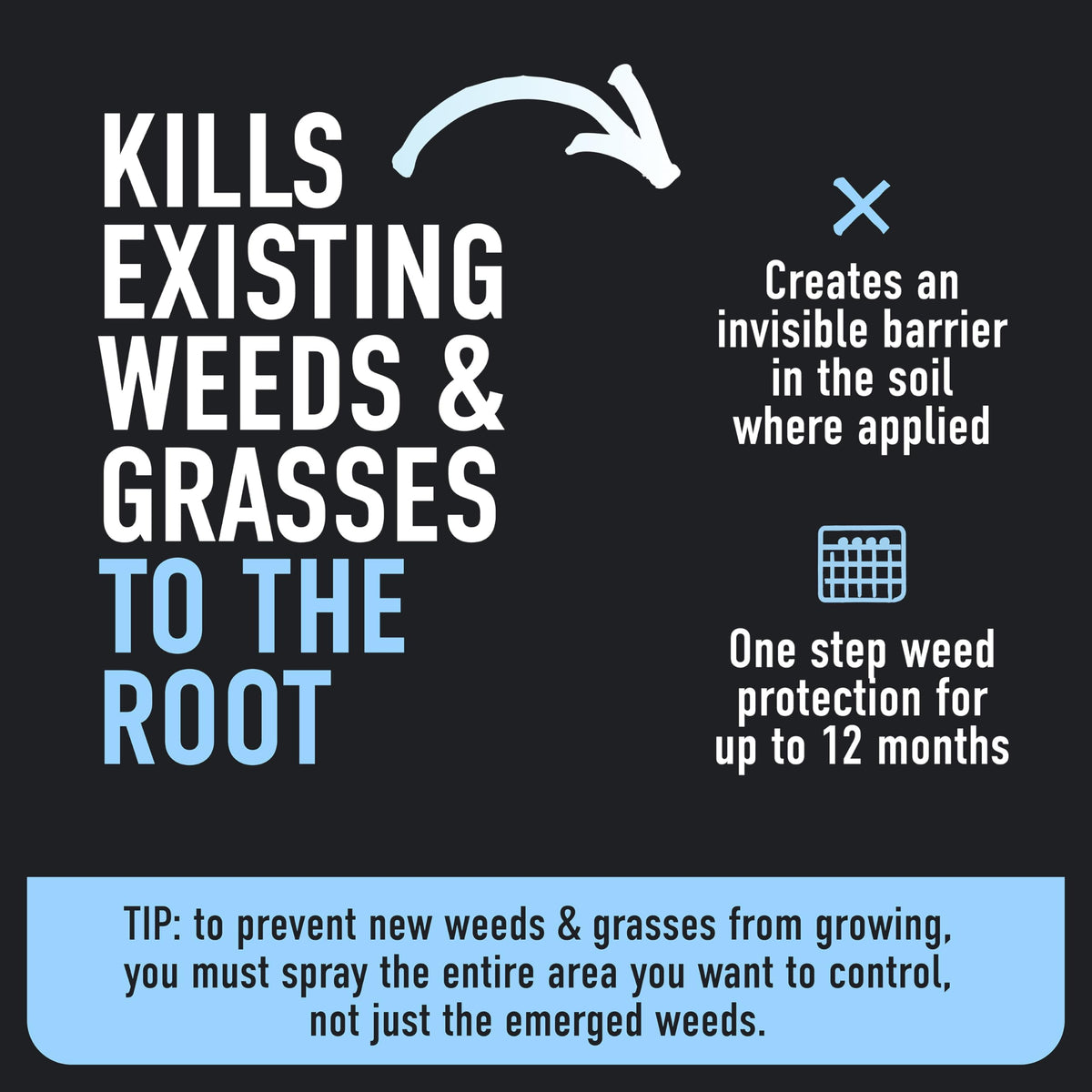 Weed & Grass Killer Plus 12 Month Preventer, 1 gal., Wand (Pack of 4) P23362