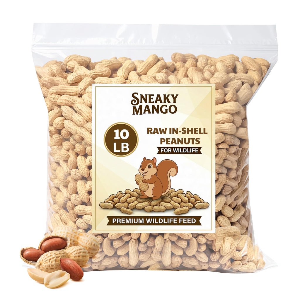 Raw Peanuts in Shell 10 Pounds V49135