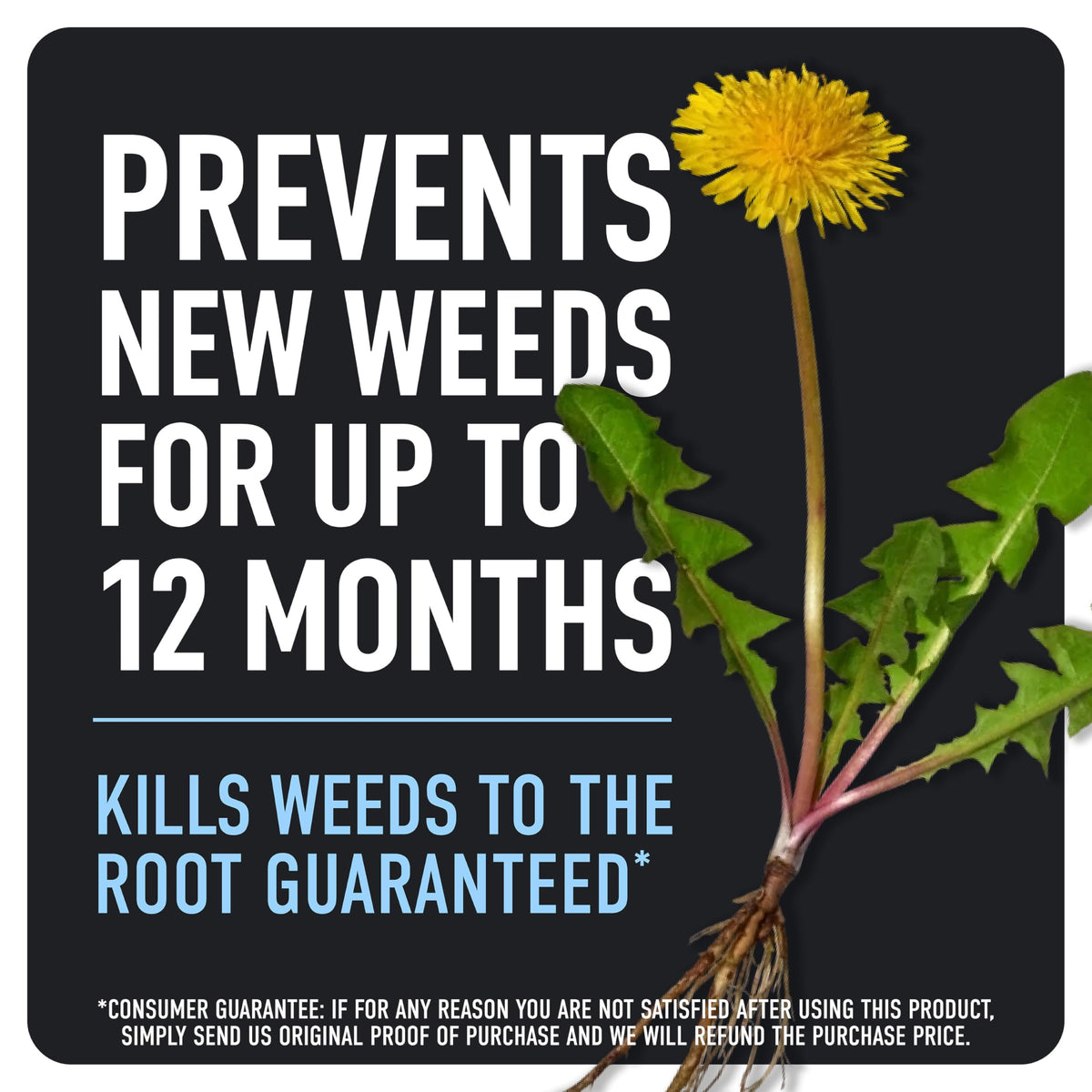 Weed & Grass Killer Plus 12 Month Preventer, 1 gal., Wand (Pack of 4) P23362