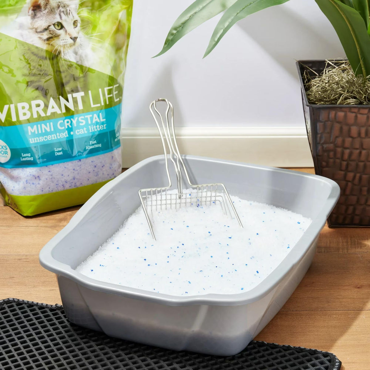 Unscented 8 lb Cat Litter T9599