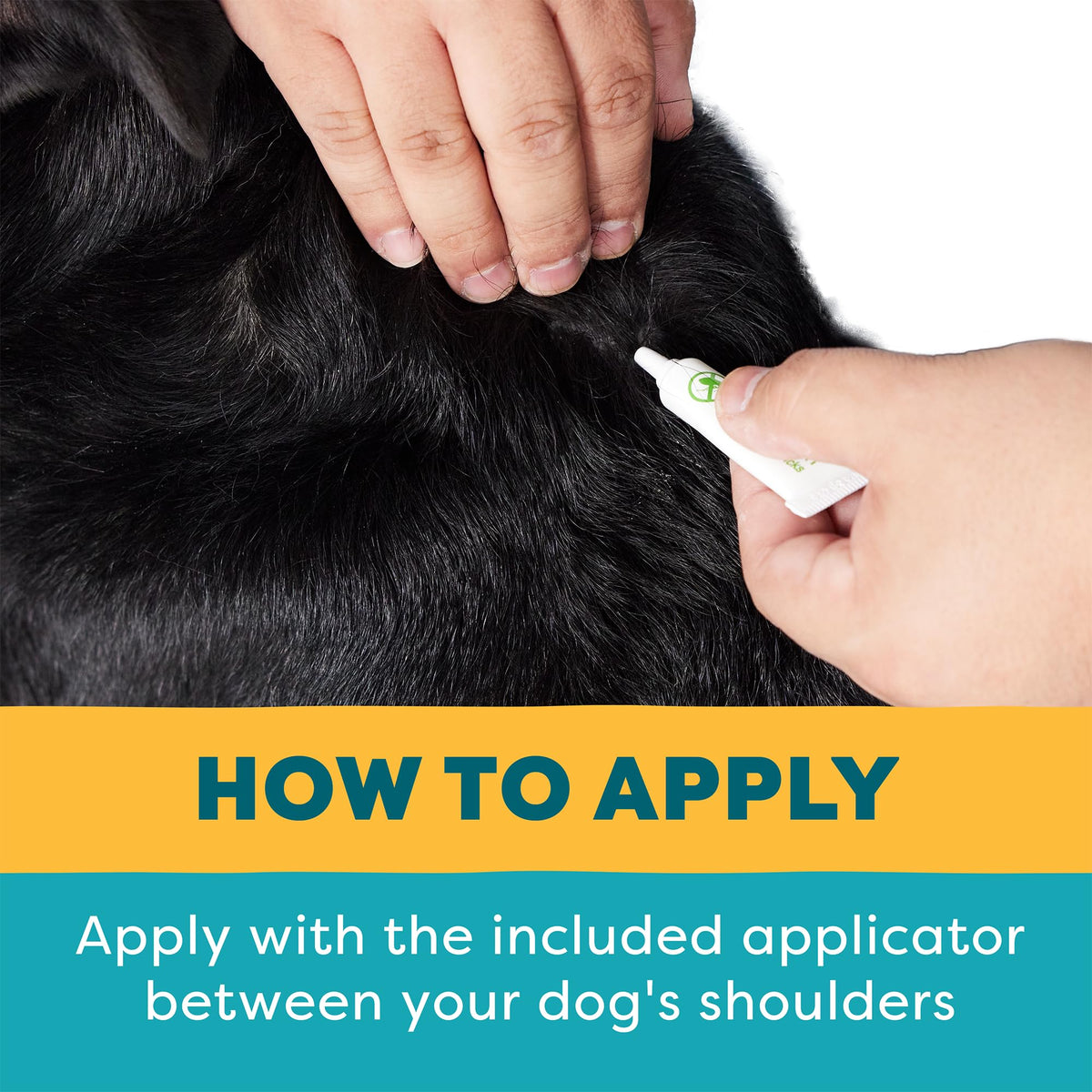 Flea and Tick Prevention for Large Breed Dogs S674704