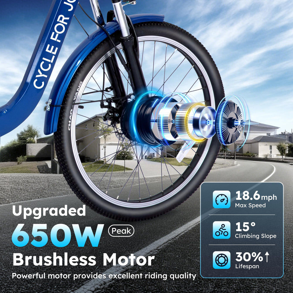 Electric Tricycle for Adults V3917