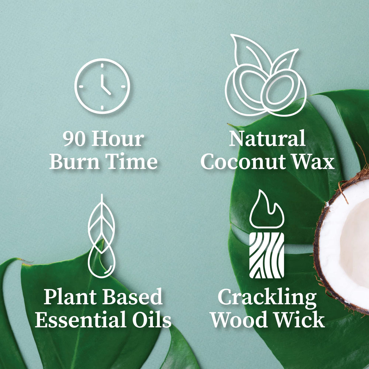 Wood Wick Candle 16 oz G494877
