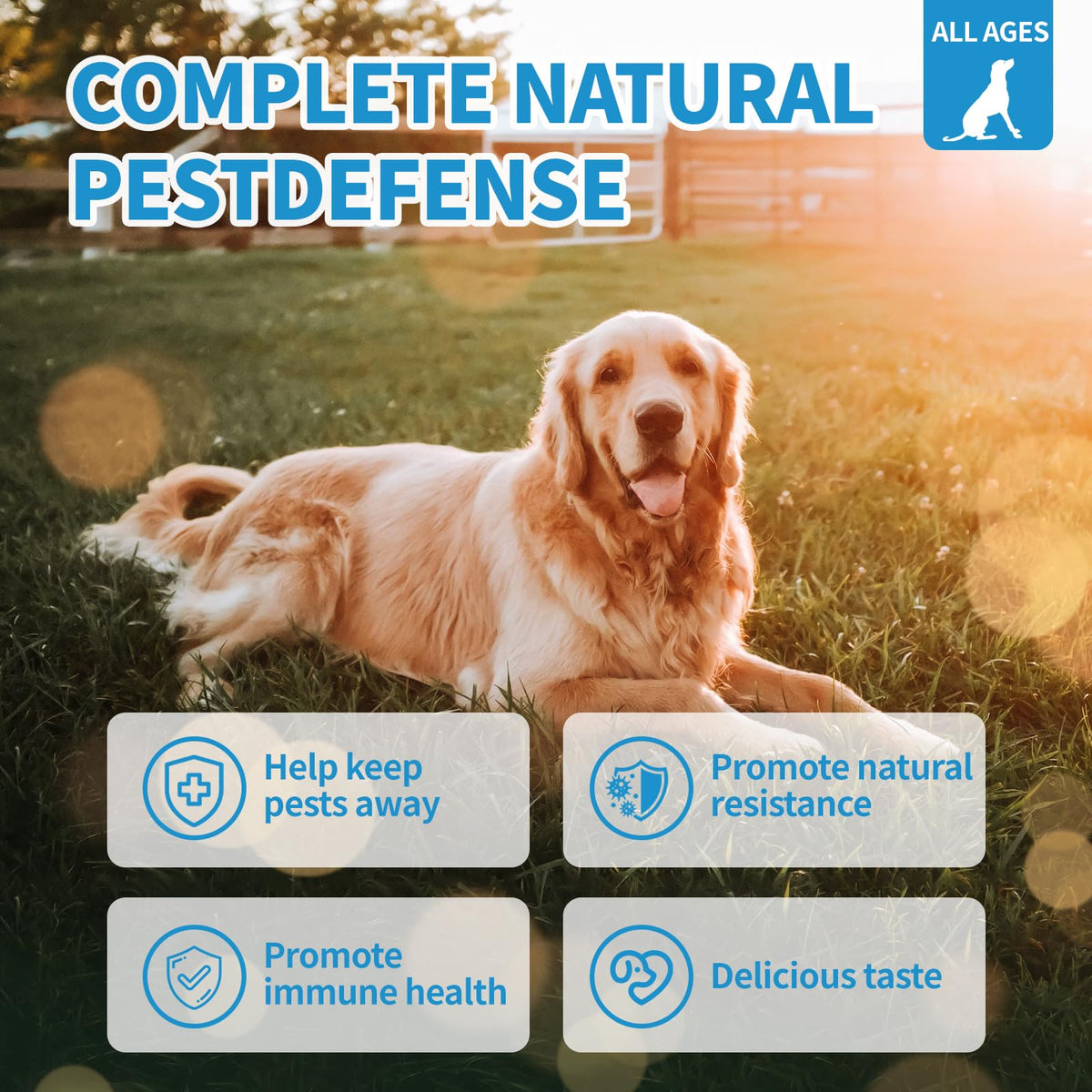 Flea and Tick Chewables 200Ct C3766