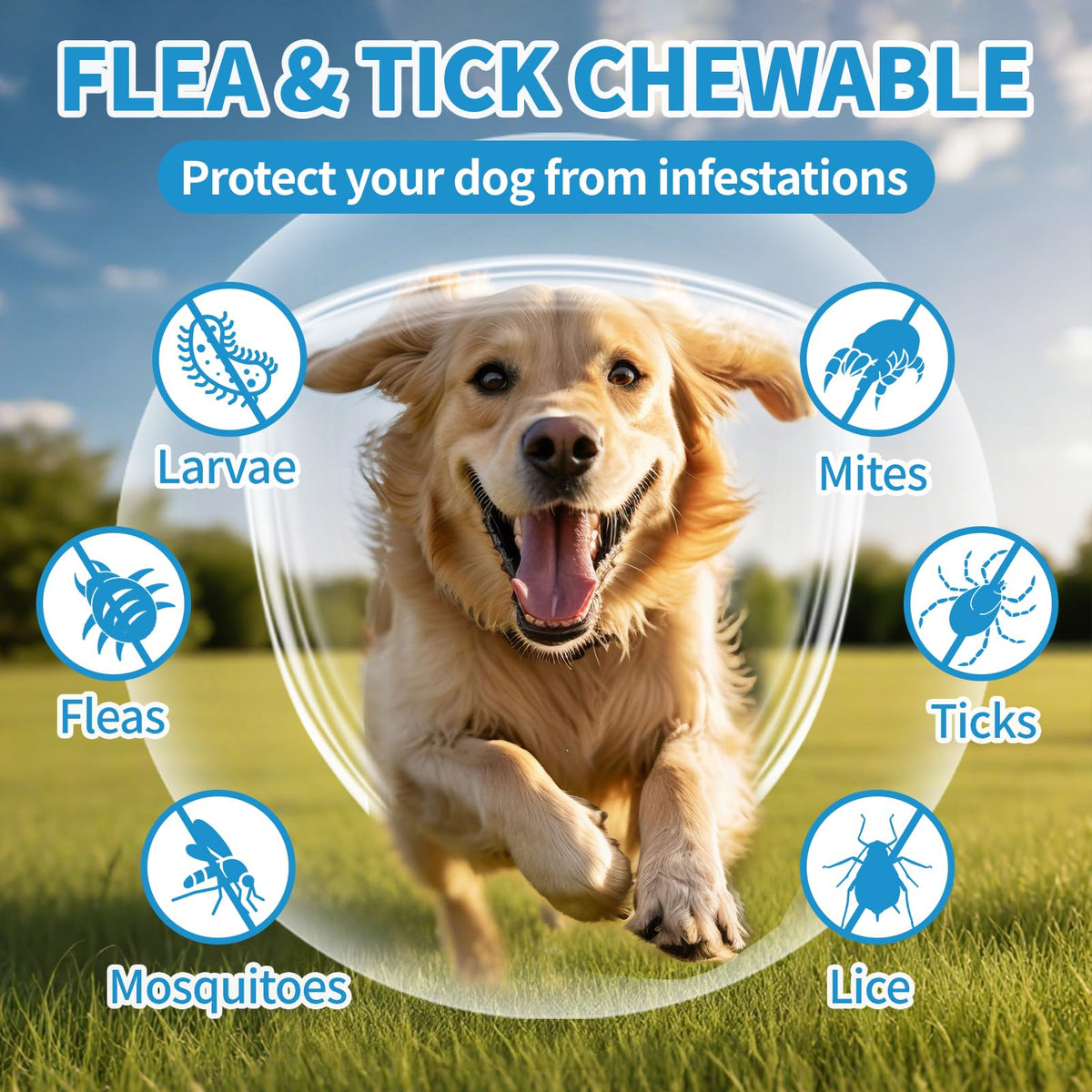 Flea and Tick Chewables 200Ct C3766