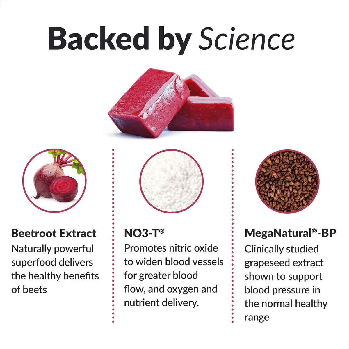 Beet Powder Supplements F3673