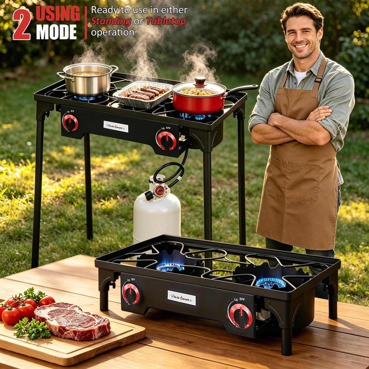 2 Burner Portable Propane Gas Grill Q2042