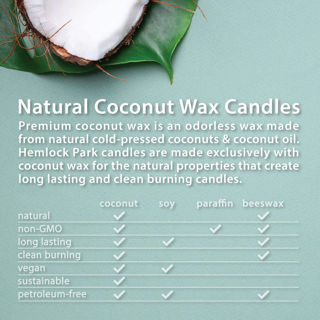 Wood Wick Candle 16 oz G494877