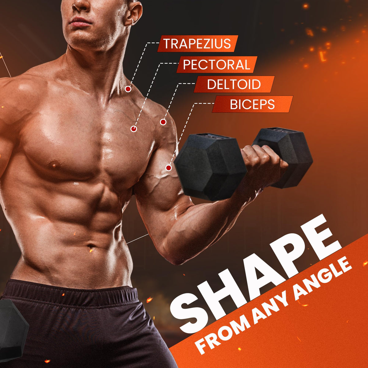 Rubber Coated Hex Dumbbell I49982