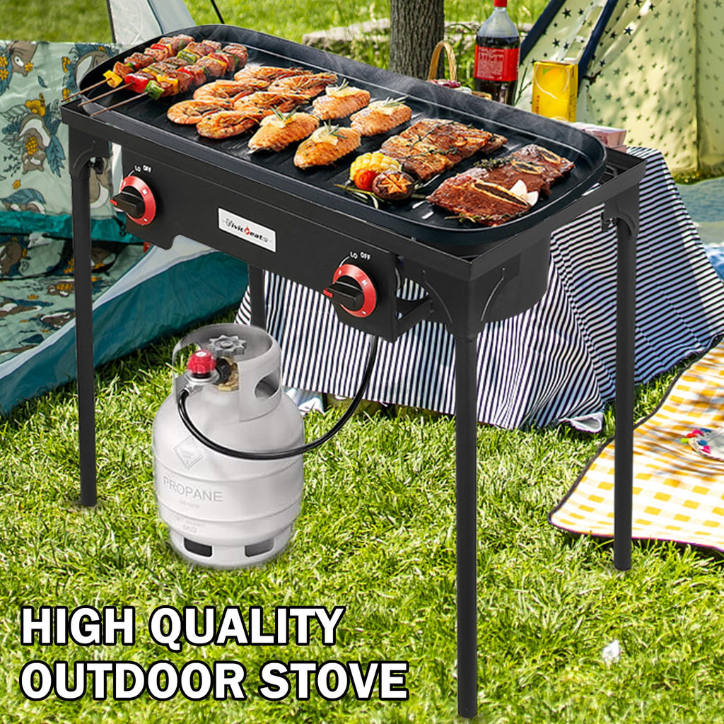 2 Burner Portable Propane Gas Grill Q2042