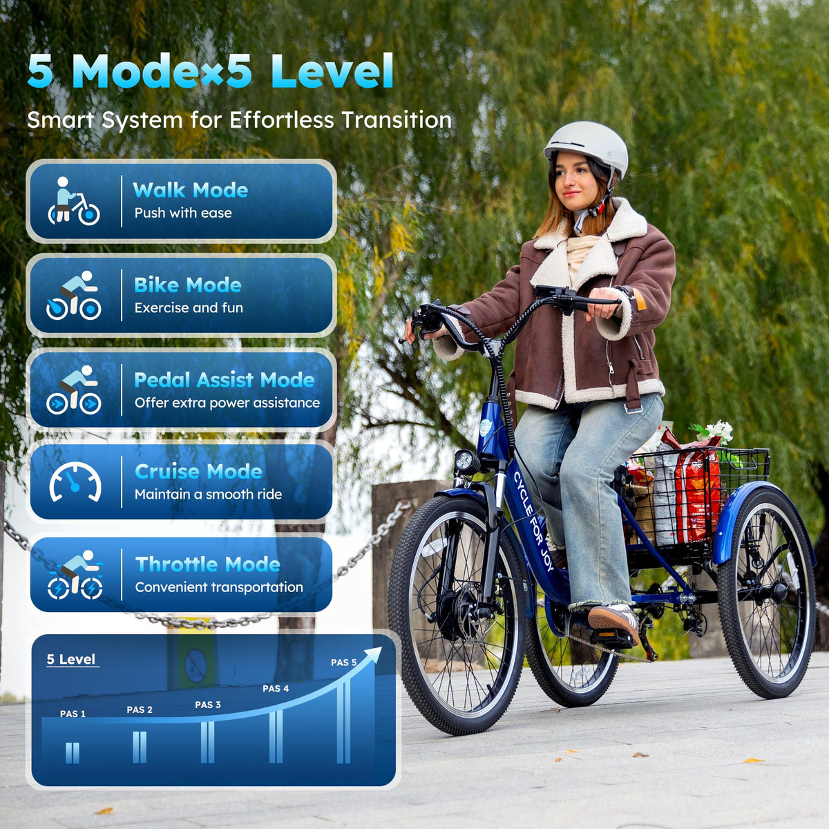 Electric Tricycle for Adults V3917